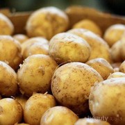 [FORUM] Makanan ini ternyata oke banget loh buat cemilan pas lagi diet!