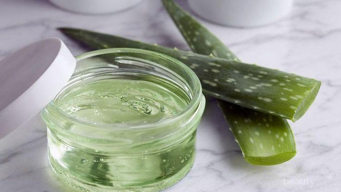 Ini Dia Sederet Manfaat Menakjubkan Aloe Vera Gel Ladies, Kamu Wajib Punya!
