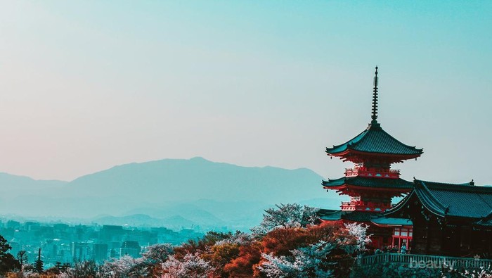 Pergi Ke Jepang Gak Afdol Kalo Gak Beli 5 Oleh-oleh Hits Ini!