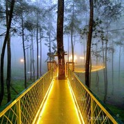 Wah, 5 Spot Wisata Bandung Lembang Ini Kece Banget buat Foto! Kamu Harus Mampir ke Sini, Ladies