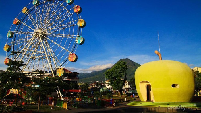 Liburan Sambil Hunting Foto di 5 Tempat Wisata Malang Gratis yang Instagramable