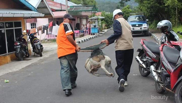 [FORUM] Pendapat kalian tentang razia hewan yang diadain pemprov DKI Jakarta?