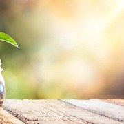 Pengen Cepat Kaya? Kamu Mesti Coba 4 Investasi Ini!