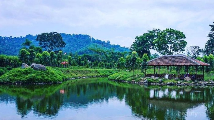 Banyak Spot Foto, 5 Wisata Alam di Banyuwangi Ini Cantik & Instagramble