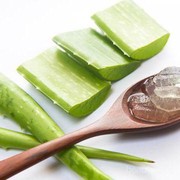 Wow, Selain untuk Dikonsumsi, Ternyata Lidah Buaya Juga Memiliki Manfaat Lain yang Menakjubkan Lho! Yuk, Intip di Sini