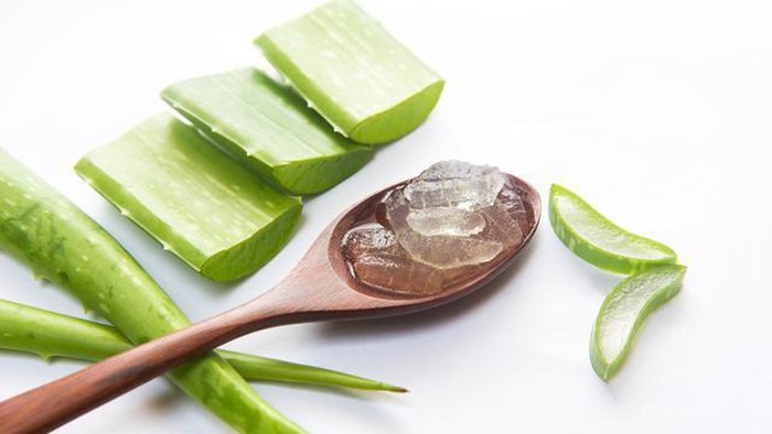 Wow, Selain untuk Dikonsumsi, Ternyata Lidah Buaya Juga Memiliki Manfaat Lain yang Menakjubkan Lho! Yuk, Intip di Sini Wow, Selain untuk Dikonsumsi, Ternyata Lidah Buaya Juga Memiliki Manfaat Lain yang Menakjubkan Lho! Yuk, Intip di Sini