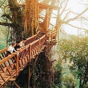 Hits Abis! Kamu Harus Mampir ke Tempat Wisata Bogor yang Instagramable Ini