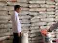 Ada Corona, Jokowi Perintahkan Bulog Jaga Pasokan Beras