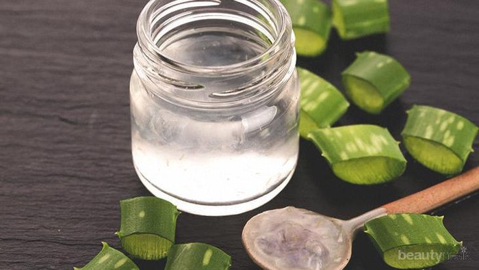 [FORUM] Sudah tau kegunaan aloe vera selain untuk penggunaan di are wajah?