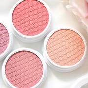 [FORUM] Ada rekomendasi blush on murah tapi bagus?