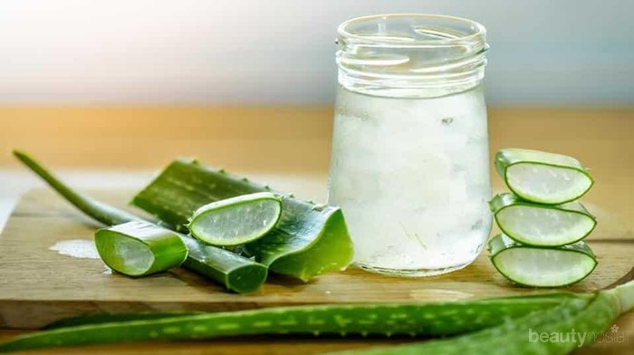 5 Alasan Produsen Kecantikan Gemar Menggunakan Aloe Vera dalam Kandungan Skincare