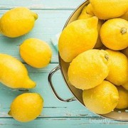 Wah, Ternyata Manfaat Jeruk Lemon Sangat Menakjubkan untuk Kesehatan! Yuk, Cari Tahu di Sini!
