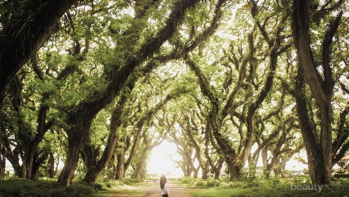 Wah, Ternyata Ada Deretan Surga Tersembunyi di Daerah Banyuwangi! Kamu Wajib Datang ke Sini, Ladies!