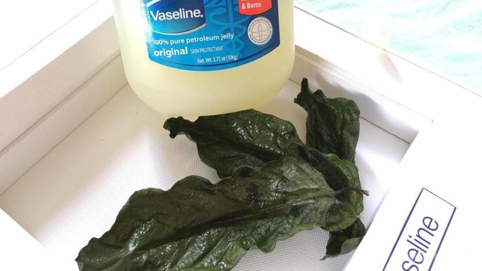 Selain Melembapkan, Ternyata Ini Manfaat Lain dari Vaseline Petroleum Jelly untuk Kecantikan