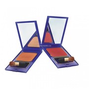 Review Inez Color Contour Plus Blusher with Brush