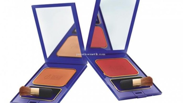 Review Inez Color Contour Plus Blusher with Brush