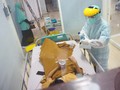 Update Corona di Jabar 26 Maret: 78 Positif, 11 Meninggal