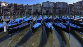 FOTO: Italia Lockdown, Perairan Venesia Kembali Jernih
