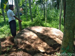 Bebatuan yang Diduga Peninggalan Zaman Megalitikum Ditemukan di Jember