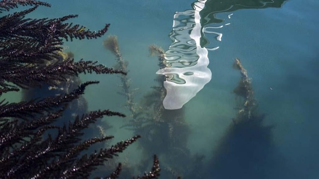 Candela perusahaan Swedia mendesain kapal untuk meminimalisasi deburan air yang dihasilkan oleh kapal bermotor di Venesia.