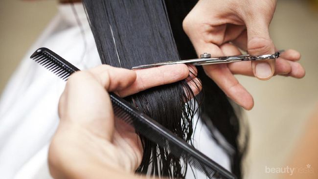 Ini Dia Gaya Rambut  untuk Wanita  Gemuk  Agar  Terlihat  Lebih 