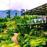 Tempat Makan yang Oke Buat Instagram Post? Coba 5 Tempat Makan Unik di Bandung Ini Yuk!