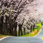 Pilihan Tempat Liburan di Korea yang Cocok Untuk Setiap Musim
