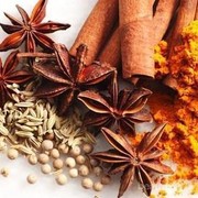 Ini Dia Rahasia Memutihkan Selangkangan dengan Bahan Dapur