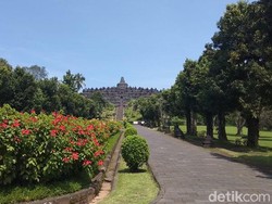 Borobudur Ditutup Sementara, Pengunjung Tetap Ada yang Datang