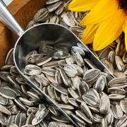 Ingin Memenuhi Kebutuhan Asam Folat? Konsumsi 5 Jenis Makanan Ini!