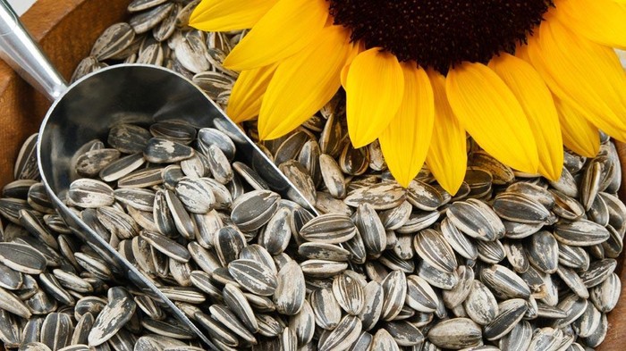 Ingin Memenuhi Kebutuhan Asam Folat? Konsumsi 5 Jenis Makanan Ini!