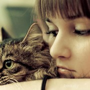 5 Tips Memelihara Kucing Bagi Pemula