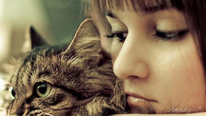 5 Tips Memelihara Kucing Bagi Pemula