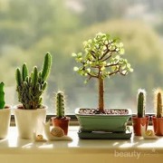 5 Tips Berkebun untuk Pemula yang Belum Kamu Ketahui