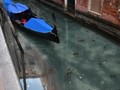 VIDEO: Lockdown di Italia Sebabkan Air Venesia Jernih