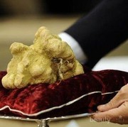 Wow, 5 Makanan Termahal di Dunia Ini Harganya Bikin Kamu Geleng-geleng Kepala