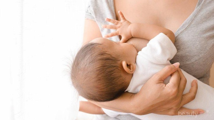 Ini Manfaat Buah Pinang untuk Payudara Setelah Proses Melahirkan dan Menyusui!