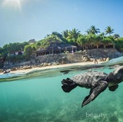 Ingin Berlibur ke Pantai? Intip Dulu List Pantai Paling Bagus di Indonesia Ini!