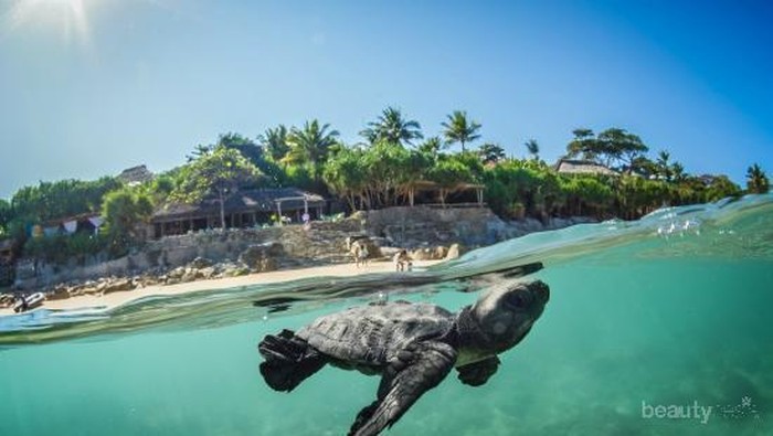 Ingin Berlibur ke Pantai? Intip Dulu List Pantai Paling Bagus di Indonesia Ini!