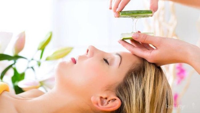 Rekomendasi Skin Care Terbaik yang Mengandung Kelembapan Alami Aloe Vera