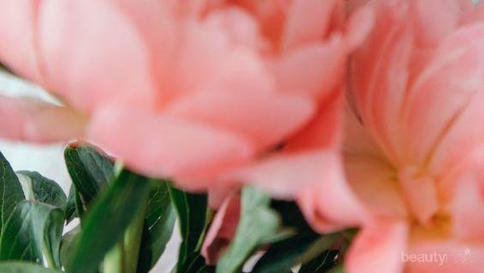 Serba Serbi Anosmia yang Perlu Kamu Ketahui, Bisa Sebabkan Kematian Lho!