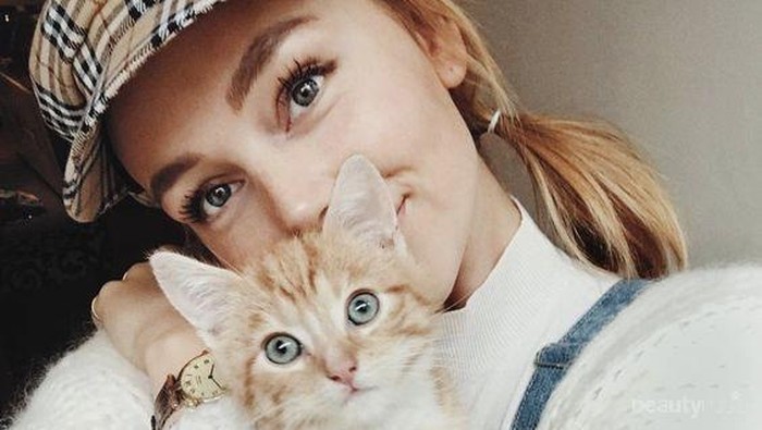 Ingin Kucing Peliharaan Tumbuh Menjadi Kucing yang Ramah? Cobain Tips Ini, Yuk!