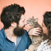 Kenapa Sih Kucing Peliharaan Suka 