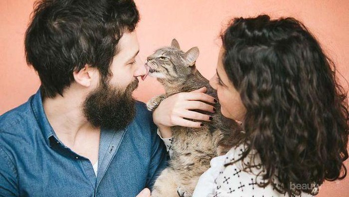 Kenapa Sih Kucing Peliharaan Suka 