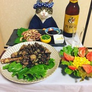 Kawaii! Ini Dia Maro, Cat Cosplay yang Setia Menemani Pemiliknya di Meja Makan
