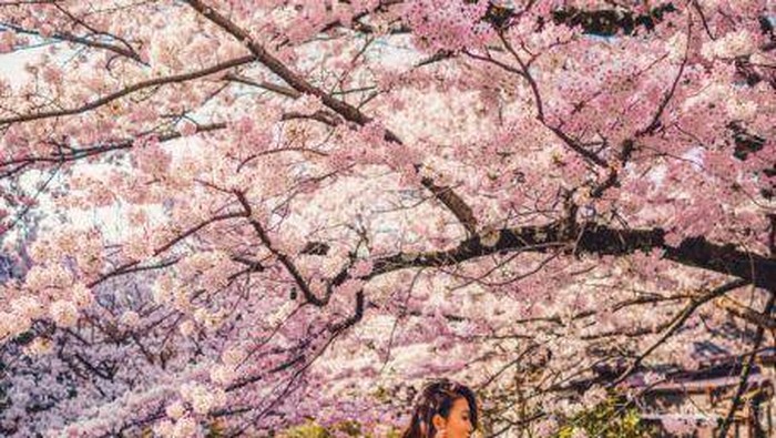 Perlu Diketahui! Hal Ini Gak Boleh Dilakukaan Saat Liburan ke Jepang