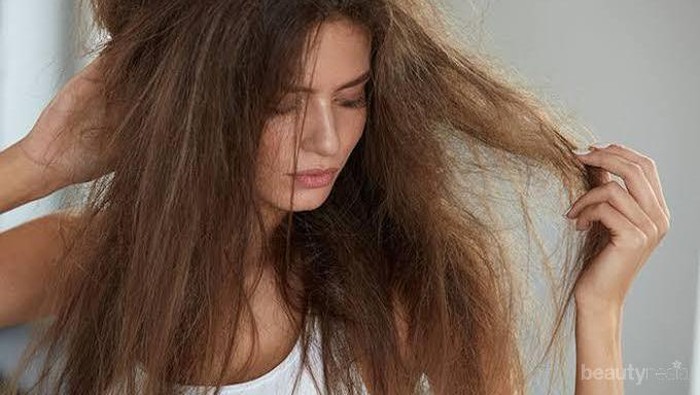 [FORUM] Produk Perawatan apa yang cocok untuk rambut kasar, kering, kusam, bercabang?