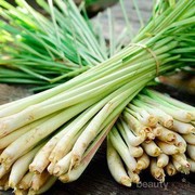 Selain Jadi Bumbu Memasak, Ini Manfaat Lain dari Serai untuk Kecantikan