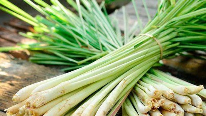 Selain Jadi Bumbu Memasak, Ini Manfaat Lain dari Serai untuk Kecantikan