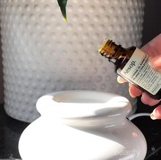 Rekomendasi 3 Tea Tree Oil Ini Cocok Banget Buat Hilangkan Jerawat Kamu!